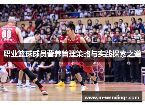 职业篮球球员营养管理策略与实践探索之道