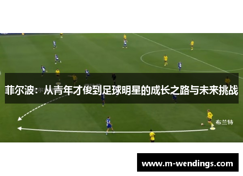 菲尔波：从青年才俊到足球明星的成长之路与未来挑战