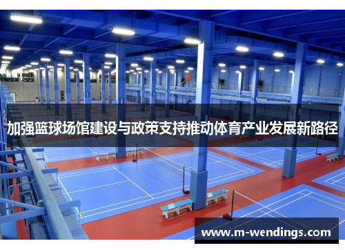 加强篮球场馆建设与政策支持推动体育产业发展新路径