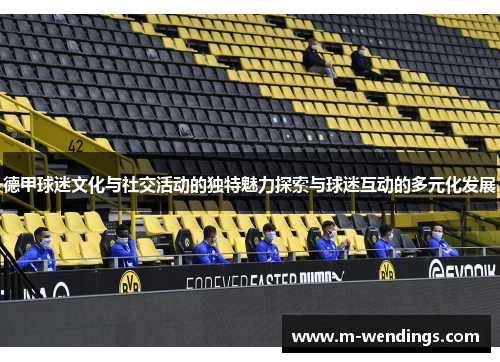 德甲球迷文化与社交活动的独特魅力探索与球迷互动的多元化发展