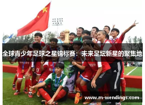 全球青少年足球之星锦标赛：未来足坛新星的聚集地