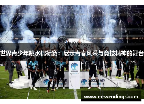 世界青少年跳水锦标赛：展示青春风采与竞技精神的舞台