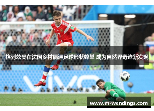 格列兹曼在法国乡村偶遇足球形状蜂巢 成为自然界奇迹新发现