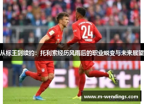 从标王到续约：托利索经历风雨后的职业蜕变与未来展望