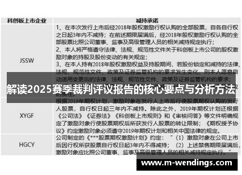 解读2025赛季裁判评议报告的核心要点与分析方法