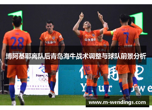 博阿基耶离队后青岛海牛战术调整与球队前景分析