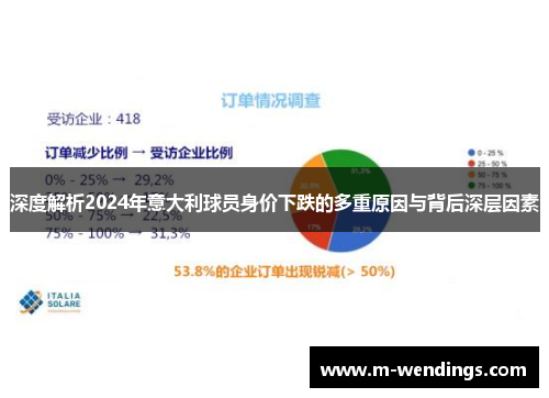 深度解析2024年意大利球员身价下跌的多重原因与背后深层因素