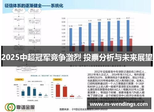 2025中超冠军竞争激烈 投票分析与未来展望