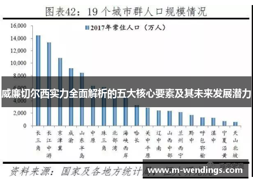 威廉切尔西实力全面解析的五大核心要素及其未来发展潜力